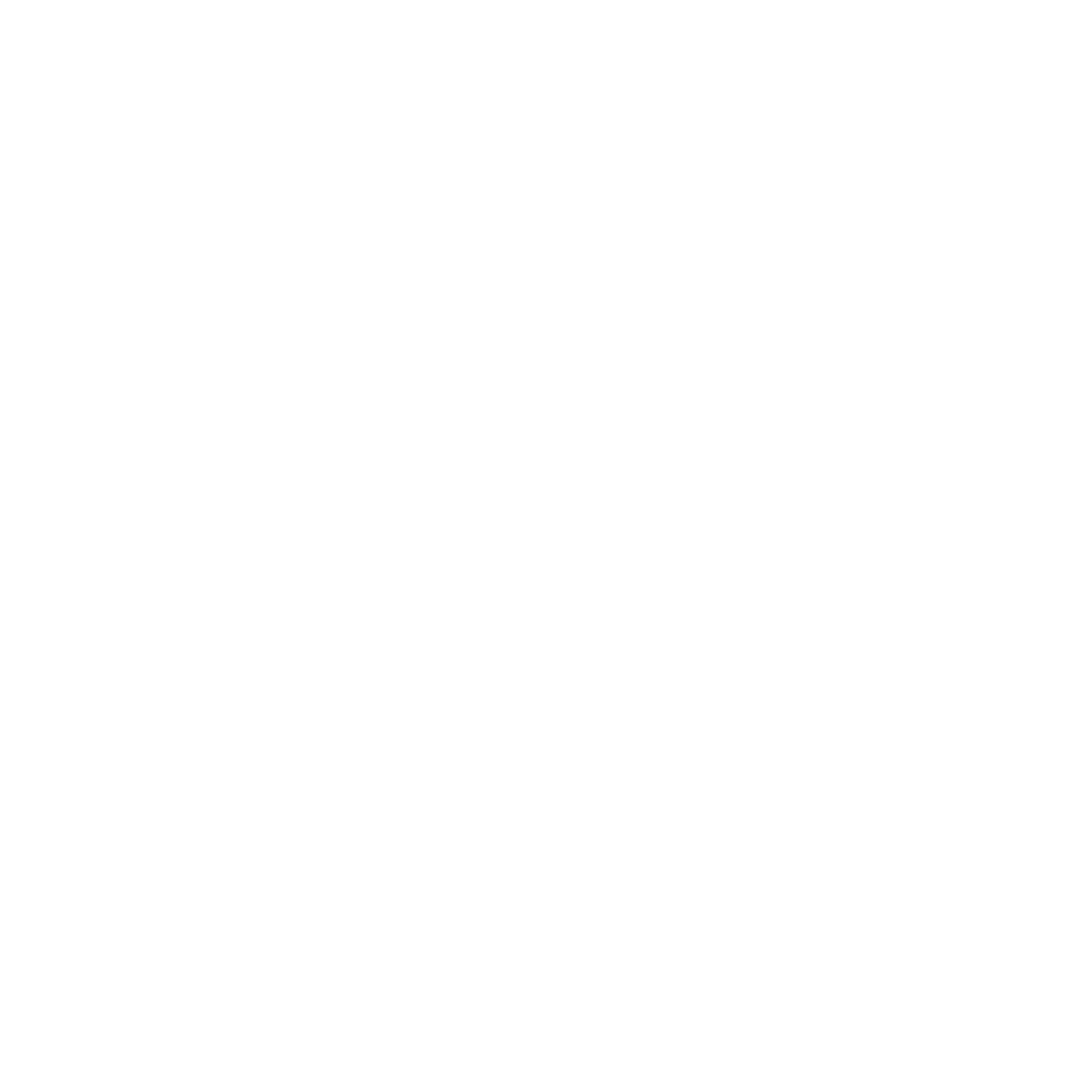 NOOS Group